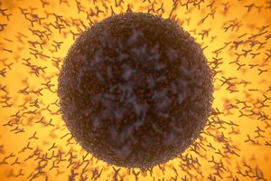 Po skiepo nepajutote jokio šalutinio poveikio? Paaiškino, ką tai reiškia