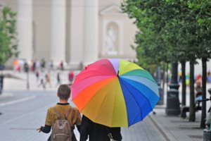 Partnerystės projekto rengėjai pasisakė apie nutekintą versiją ir planą B, jeigu netyčia nepavyktų