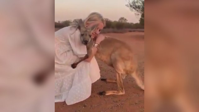 Užfiksuotas itin jautrus momentas: kengūra šiltai apkabina ją išgelbėjusią savanorę