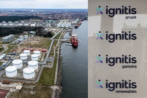 Seimo nariai: valstybės įmonių darbuotojų skatinimą akcijomis reikės peržiūrėti