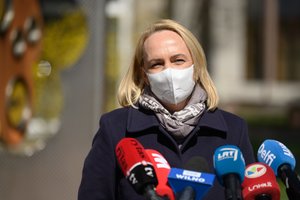 VRK suteikė Seimo narės mandatą E. Rudelienei, Trakų mero rinkimai vyks spalį