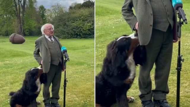 Airijos prezidento šuo tapo sensacija: interviu metu visų žvilgsniai krypo į keturkojį