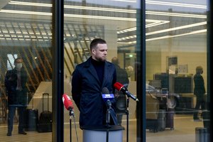 G. Landsbergis: sprendimas nekeisti rinkimų sistemų priimtas išklausius ekspertus