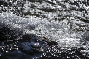 Tyrimas: Lietuvos šaltiniuose trykšta itin geras vanduo