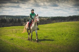 Ištvermės jojimo varžybose apdovanotas ir geriausiai besijaučiantis žirgas