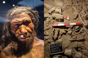 Senosios Europos širdyje aptikti devynių paslaptingųjų senovės žmonių kaulai