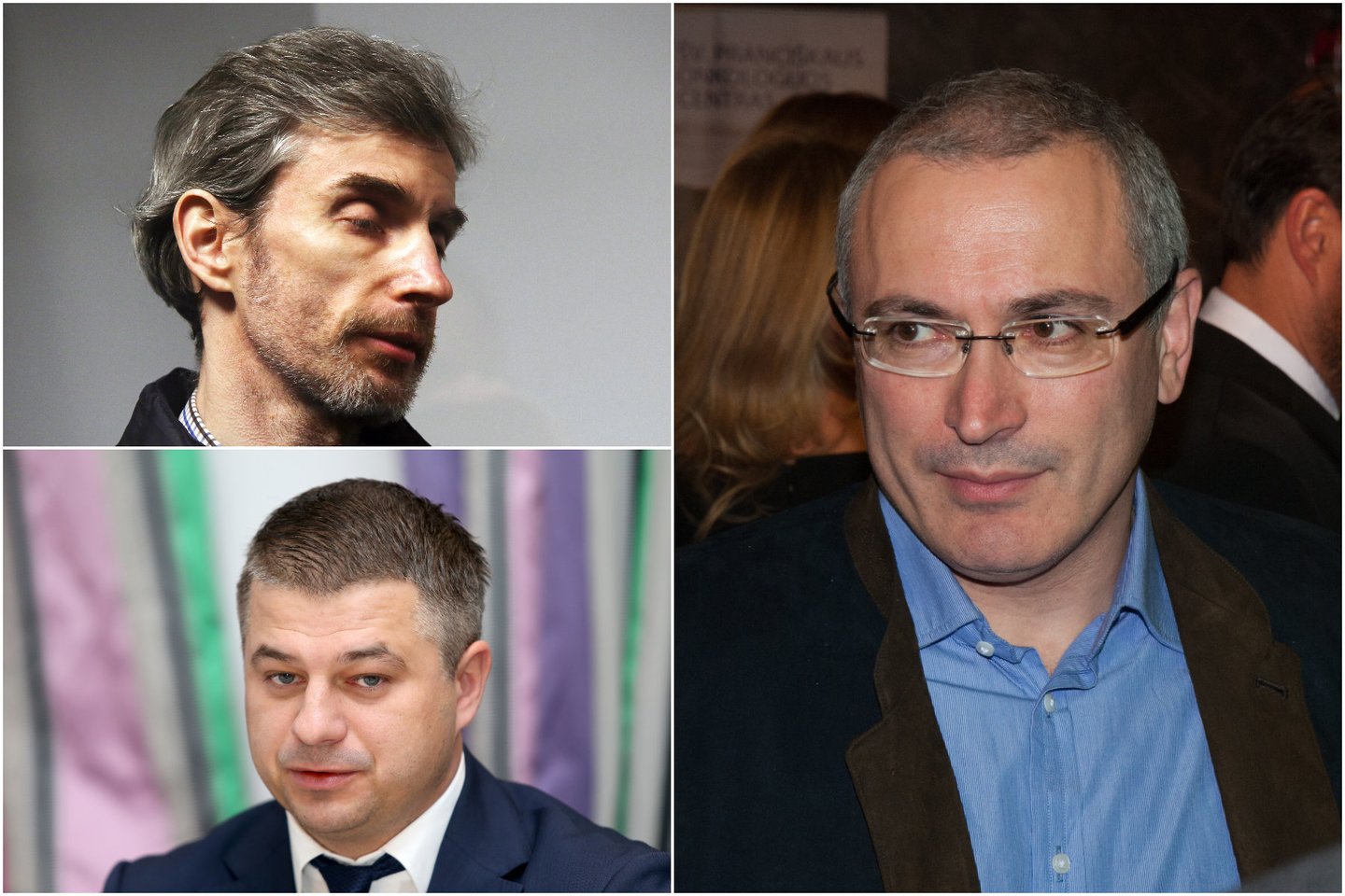 M. Chodorkovskio pranešime EP paminėti „Avia Solutions Group“ ir A. Paleckis.<br> Lrytas.lt koliažas