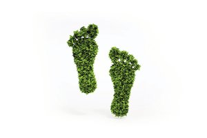 Nuo ko prasideda ekologija: štai ką gyvenime svarbiausia leisti sau patirti