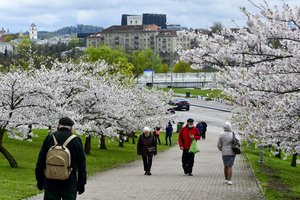 I. Genytė-Pikčienė: prasideda energingas Lietuvos ūkio atsigavimas