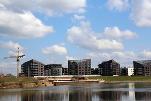 Pandemija pakoregavo lietuvių būsto įsigijimo ir remonto planus, ypač vienos amžiaus grupės pirkėjų