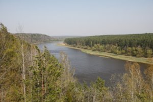 Punios šilo rezervate bręsta pokyčiai: teritorija didinama net penkis kartus