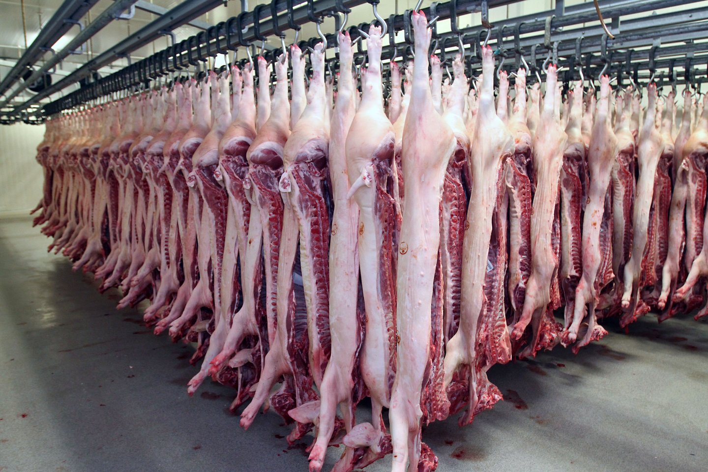 VMVT inspektoriai nustatė, kad Jurbarko rajono mėsos gamintojo veikla buvo nelegali.<br>M.Patašiaus nuotr.