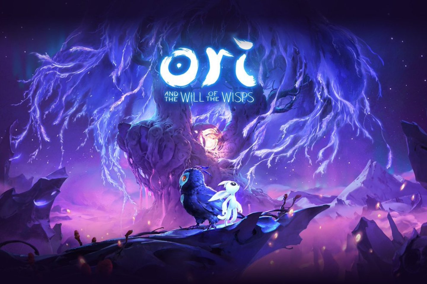  Žaidėjai valdo pagrindinį veikėją Ori, tyrinėjantį pasaulį ir sprendžiantį sudėtingus galvosūkius. 