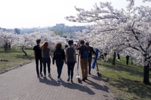 Būtinosios išlaidos mažiausios Vilniuje, sparčiai vejamės lyderius Talino gyventojus
