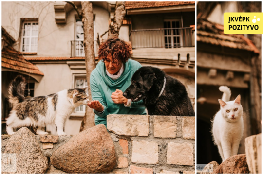 Pusę Europos su išgelbėtais katinais ir šunimi išmaišiusi pora: „Dabar mes esame Brėmeno muzikantai“