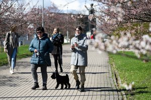 Koronaviruso atmainos smelkiasi į Lietuvą: nustatyta dar 728 „britiškosios“ linijos atvejų