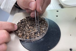 Vilniaus nuotekų valyklos rekonstrukcija: sulaikys net mikroplastiką