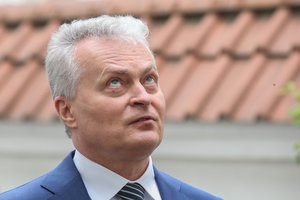 Davė konservatoriams patarimų dėl G. Nausėdos: jei galite kąsti prezidentui – kąskite