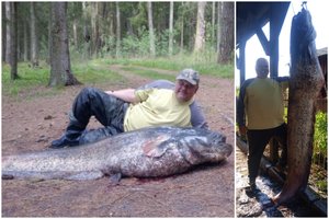 Rokiškėnas sugavo gyvenimo žuvį: po 3 val. kovos į krantą vos ištempė milžiniško dydžio šamą