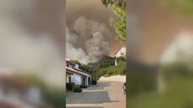 Los Andželo pakrantėje gaisras privertė gyventojus evakuotis: tyrėjai vykdo įtariamo padegėjo paiešką