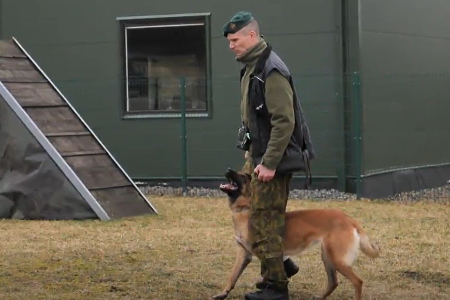  Šunys, padedantys kariams tarnybos metu, itin vertinami.<br> Stop kadras