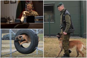 Lietuvos kariuomenės vadas papasakojo apie keturkojus karius: atskleidė, kokią šunybę jam iškrėtė augintinis