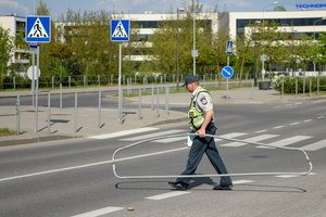 Dalinsis pinigais – už keliams skirtas lėšas sodins želdinių atitvarus 