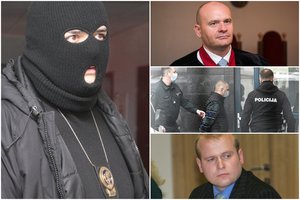 Po skandalingo sulaikymo ritosi aukštų pareigūnų galvos, o tada stojo tyla: praskleidė garsaus tyrimo skraistę