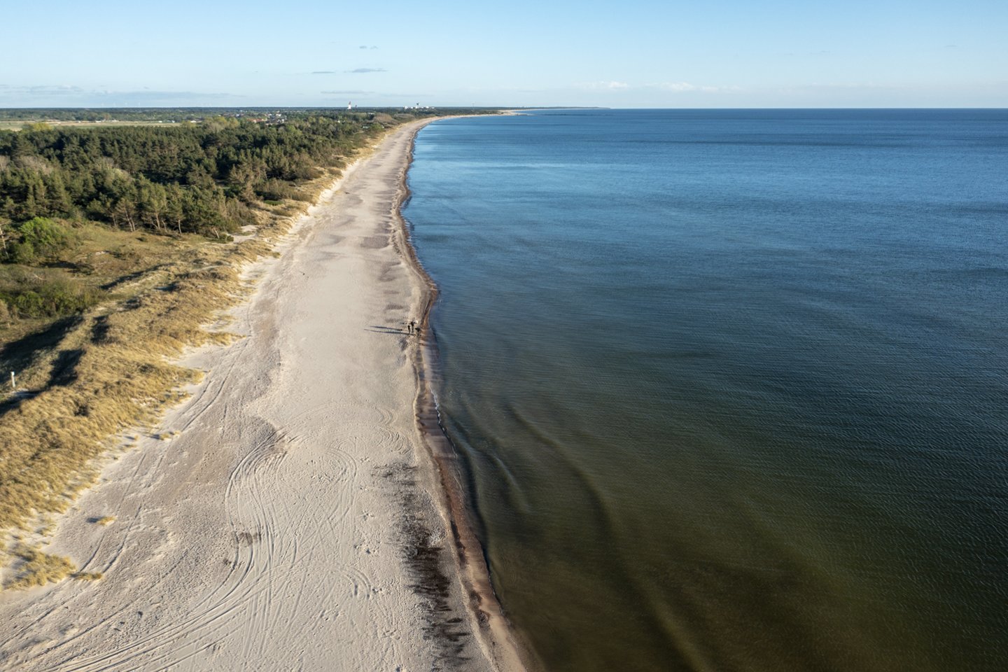 Valstybinio aplinkos monitoringo metu gegužės mėnesį vykdomi Kuršių marių ir Baltijos jūros makrozoobentoso tyrimai.<br>V.Ščiavinsko nuotr.