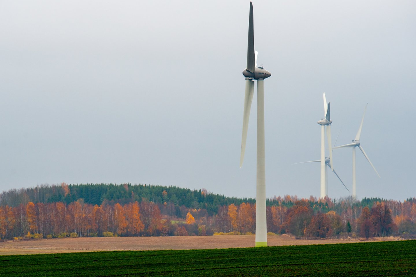  Dokumente raginama sparčiai ir dideliu mastu didinti investicijas į atsinaujinančių šaltinių energetiką<br>V.Ščiavinsko nuotr.