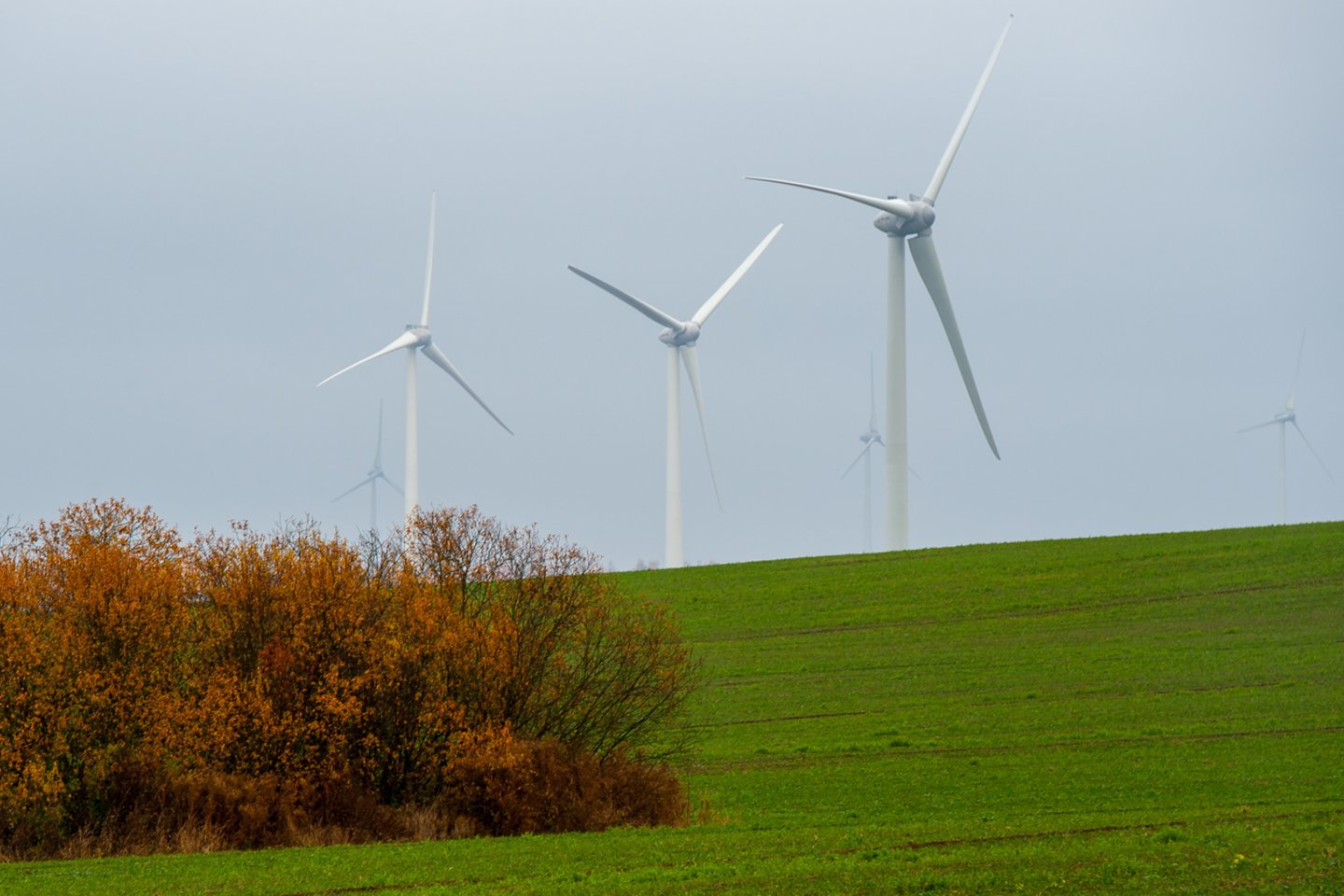  Dokumente raginama sparčiai ir dideliu mastu didinti investicijas į atsinaujinančių šaltinių energetiką<br>V.Ščiavinsko nuotr.