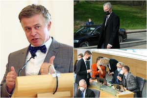 G. Nausėdos į VRK deleguojamas Š. Liekis kaltina konservatorius spaudimu, partija tai neigia