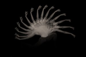 Devintajame „Kūrybiniame impulse“ – operos įkvėptas šokis