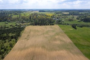 Rinkoje pagausėjo netinkamų augalų apsaugos produktų