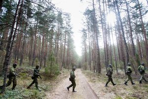 KAM žinia: karinį poligoną bus galima steigti bet kurioje Lietuvos vietoje