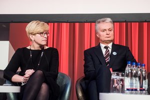 Seimo komitetai ragina prezidentą ir premjerę susitarti dėl atstovavimo Lietuvai EVT