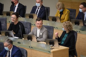 V. Čmilytė-Nielsen apie Partnerystės įstatymą: „Koalicijoje turime sutarimą dėl to“