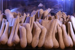 Taikomosios dailės ir dizaino muziejuje „Baltos kandys“ perteikia Rytų pasaulio tradicijas