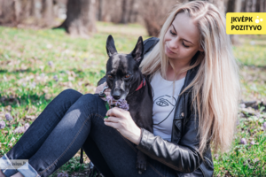 Buvusi šeimininkė išdavė augintinę: taip skubėjo atsikratyti, kad atvežė į šventę, bet viskas pasisuko netikėtai