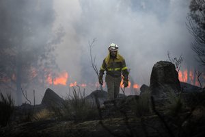 Graikijoje įsisiautėjo miškų gaisrai: evakuoti dešimtys gyventojų
