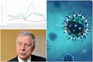 Koronaviruso nukarūnuotas gripas užminė mįslę: gali grįžti dar nematyta jėga