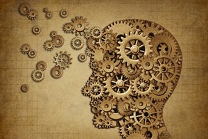 Septyni su puse mito apie žmogaus smegenis