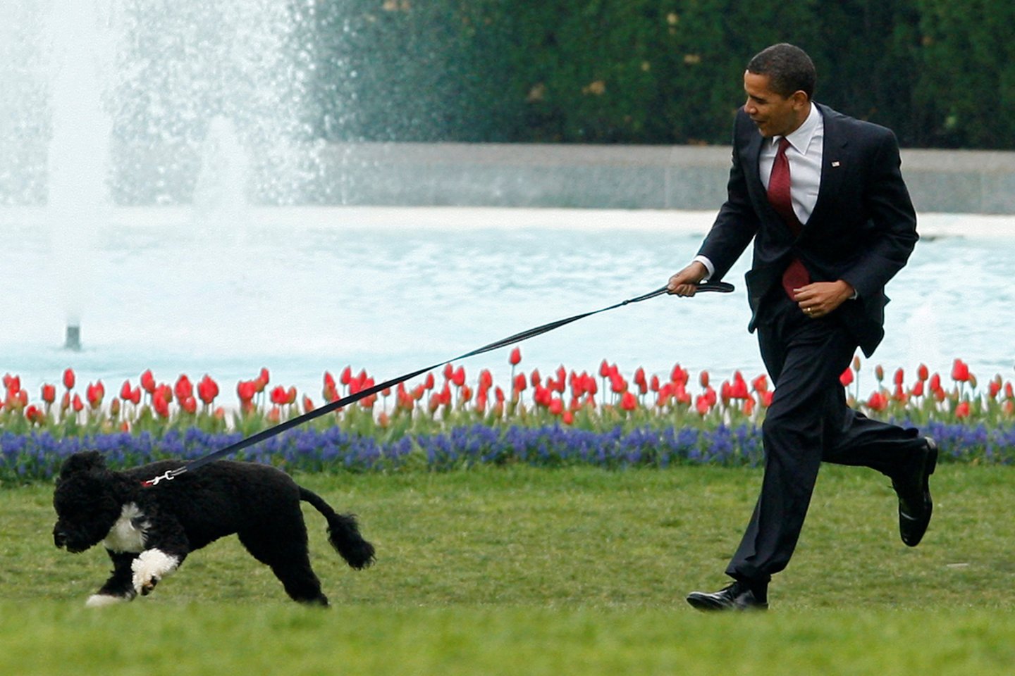 Barackas Obama su šuniu Bo.<br>Reuters/Scanpix nuotr.