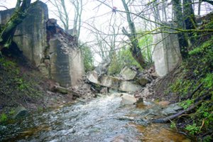 Išgriauti tiltą – ne nusikaltimas: sodininkų bendrijoje kiekvienas gali šeimininkauti kaip tinkamas