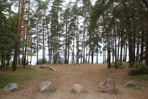 Kauniečiai žvalgosi vietų, kur galėtų  pačirškinti mėsą ar žuvį – miesto taisyklės jų nepradžiugins