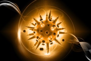 Nesibaigus COVID-19 pandemijai, mokslininkai įspėja apie naują pavojų