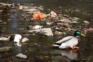 Į Šv. Jono upelį išpiltas kalnas šiukšlių: pažeidėjas prigaunamas ne pirmą kartą