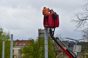 Ilgalaikių bedarbių vis daugėja: dėl to kalti ir darbdaviai
