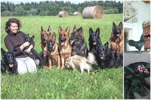 Pareigūnės namuose – 10 šunų, 3 katės, triušis ir gaidys, kuris paleidžia gerklę vos suskamba telefonas