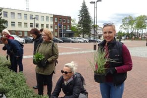 Keisti Kaišiadorių gėlynus ėmėsi pati miesto seniūnė – talkon pasijungė būrys grožiui neabejingų moterų